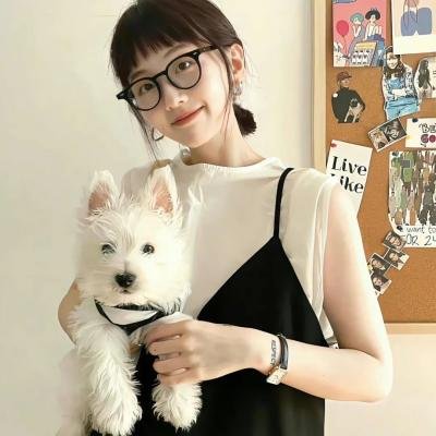 键盘猫