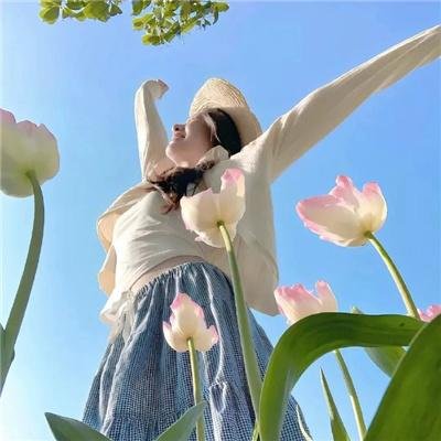 安妮日记：始末